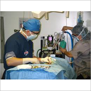 Hospital Emergency Services