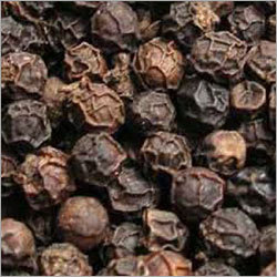 Indian Black Pepper
