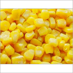 Indian Yellow Corn