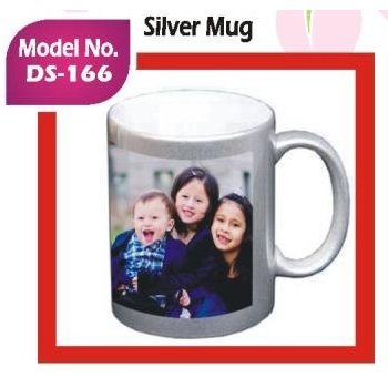 Silver Mug