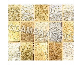 Pusa Basmati Rice