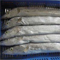 Dried Frozen Sea Foods
