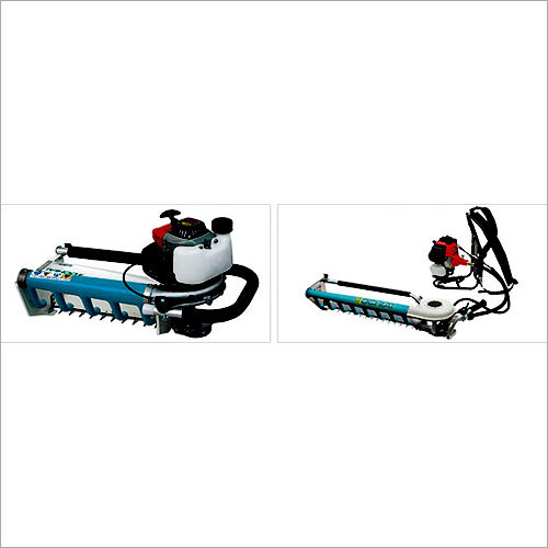 Two Men Tea Pluckers