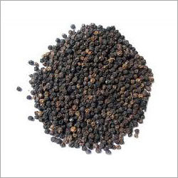 Black Pepper Black Pepper