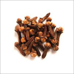 Indian Clove