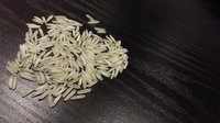 Pusa Basmati Rice - Long Grain, White Color | High Nutritional Value, Long Shelf Life, Tempting Aroma