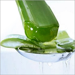 Aloe Vera Gel