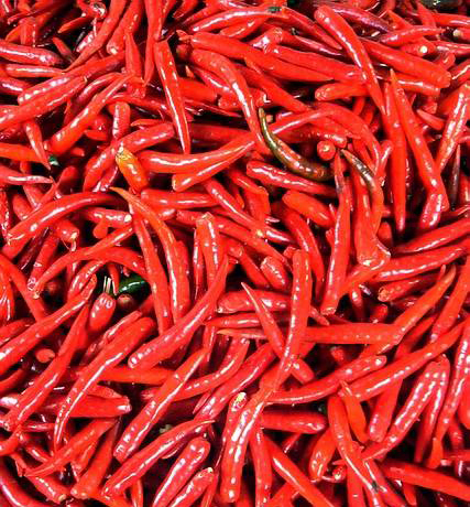 Red Chilli