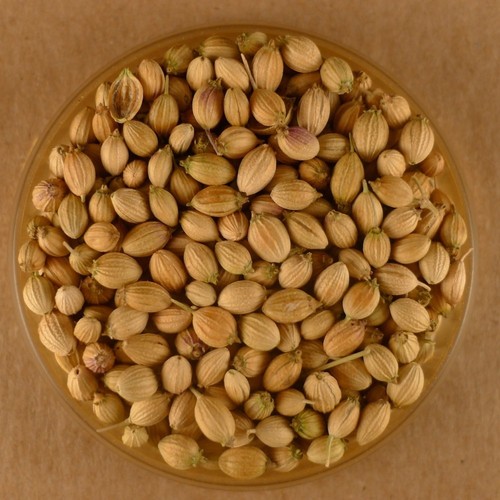Coriander Seeds Coriander Seeds