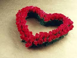 Fresh Rose Fresh Rose