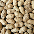 Peanut In Shell