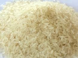IR- 64 Rice