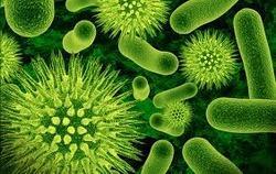 Bio Bactericide