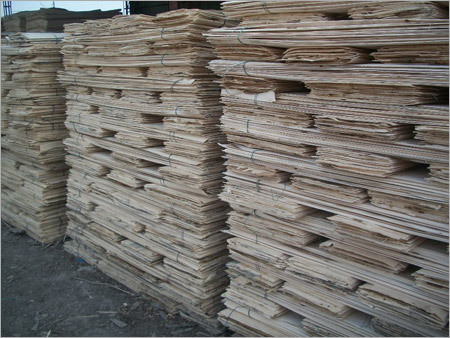 Poplar Veneer