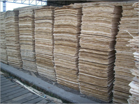 Popular Veneers