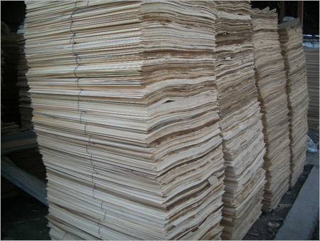 Poplar Veneer