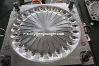 Desposiable Plastic Spoon Mould