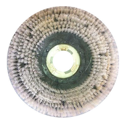 Scrubbing & Carpets Brush
