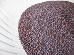 Mustard Seed