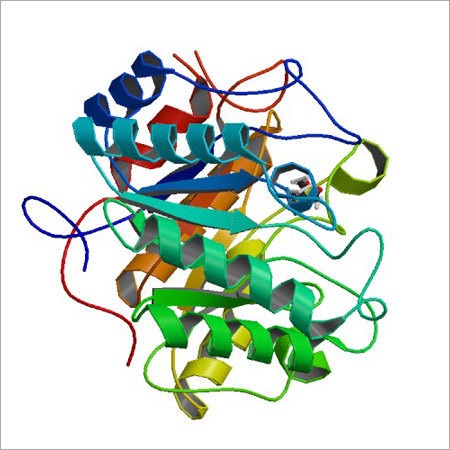 Cellulase Enzyme