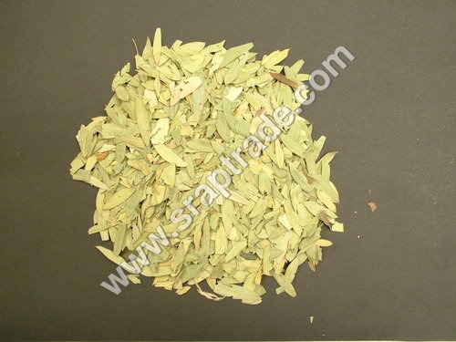 Senna Leaves
