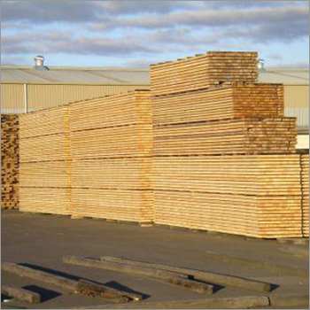 Industrial Grade Green Sawn Before Entering Kiln