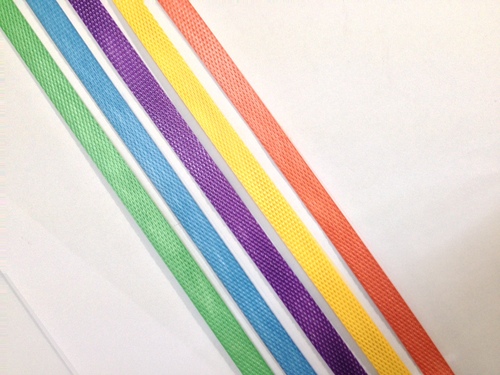PP Packaging Strapping Roll