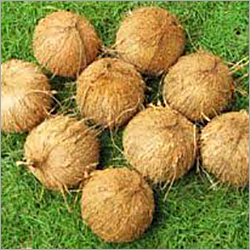 Pollachi Fresh Coconut