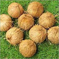 Pollachi Fresh Coconut