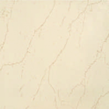 R-Troto Vitrified Tile