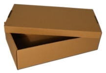 Plain Shoe Box