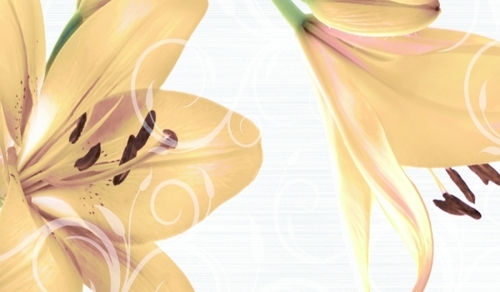 600x300 MM Glossy Finish Wall Tile