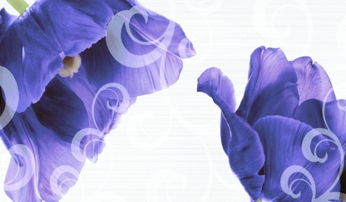 Glossy Finish Wall tile