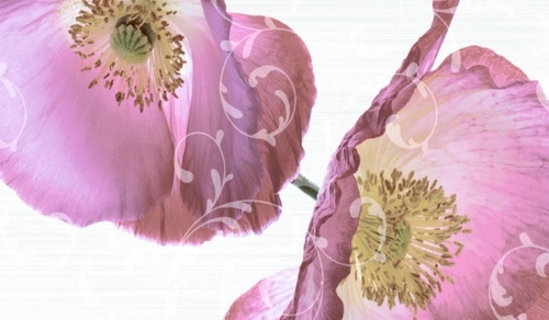 Glossy finish Ceramic Wall Tile