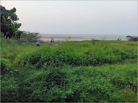 Real Estate Acquisition