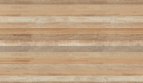 600x300 Matt Finish Wall Tile