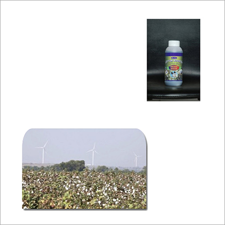 Cotton Booster
