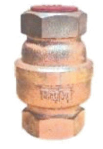 BAJAJ Vertical Lift Check Valve IBR