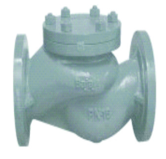 BAJAJ  Cast Iron Horizontal Lift Check Valve IBR