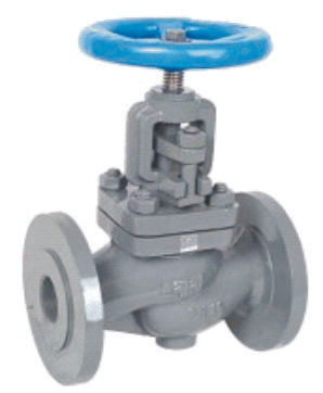 BAJAJ  Cast Iron Stop cum Non-Return Valve