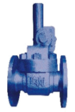 BAJAJ Cast Steel Parallel  Slide Blow Off Valve IBR