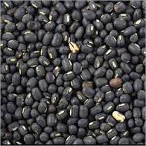 Black Urad Dal
