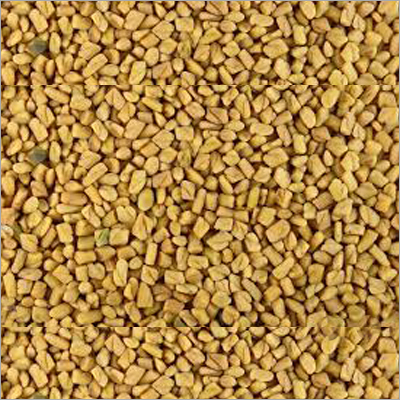Methi Seed