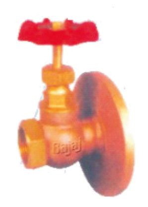 BAJAJ  Globe Valve Mixed End