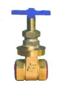 BAJAJ Gate Valve Hexlay