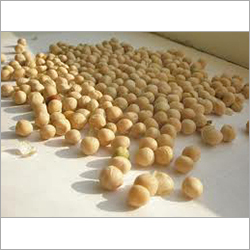 Natural Soya Seed