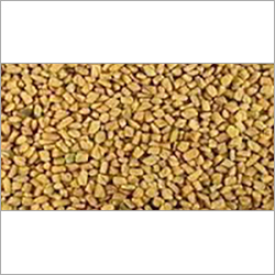 Fungreek Seeds