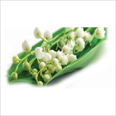 Aroma Chemicals