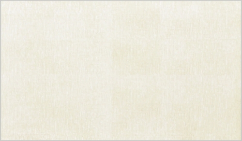450x300 mm Matt Finish Wall Tile