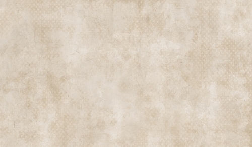 1215x605 MM Rustic Finish Porcelain Tiles